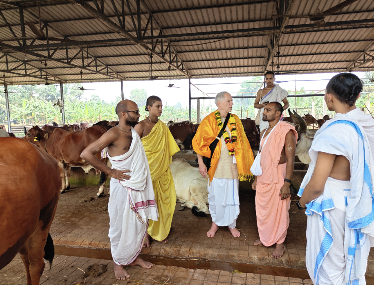 Group visit at the Goshala